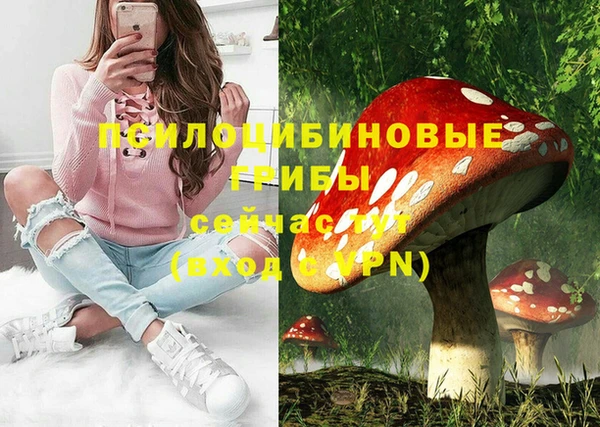 ешки Арсеньев