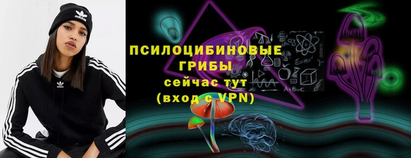 ешки Арсеньев